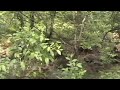 Arkansas Land Arkansas Land