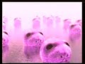 yell-part-1-psychedelic-surreal-video-art.html