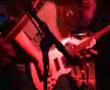 Cryptopsy - Phobophile