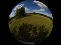 Wood Dale 2 of 4