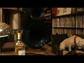 Avantgarde Acoustic TRIO/Bass Hornで聴くZimbabwe/Pangaea/Miles Davis