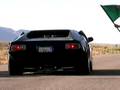 Team Pantera Racing Mr.MUD