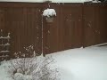 Snow Day in Kelligrews Newfoundland Feb 3 2011