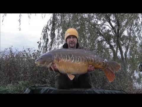 XL Carp Video
