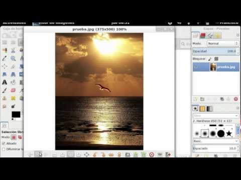Gimp Resynthesizer, elimina cualquier parte de una imagen Gimp Resynthesizer, elimina cualquier parte de una imagen