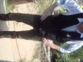 {New Jerking} PAJ Crew taught cowboy how to jerk!!