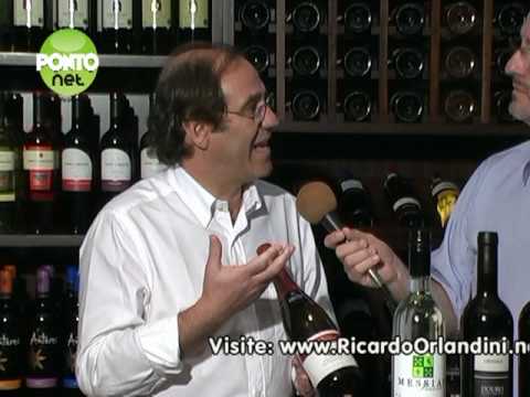 Programa PontoNet com Ricardo Orlandini - 19/02/2010 - Bloco 2