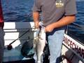 videos de PERSEVERANCE FISHING CHARTERS OCT.10.08 ROCKFISH