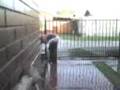 *bañando a la yani*