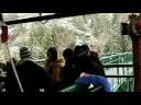 Whistler Bungee