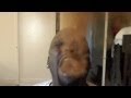 “The Cinnamon Challenge epic fail “Help me Jesus”