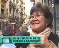 TV3 - TVist - Com ens veuen els nouvinguts?