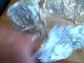 Pork-Confit-Part-2-A