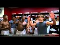 Saban Impression by Rob Ezell