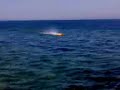 KYOSHO RC NITRO BOAT C1 CAT LAMBORGINI