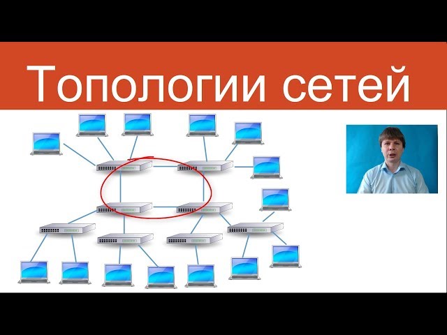 Топологии сетей | Курс