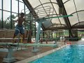 reverse dive straight 1 meter