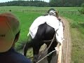 Koiwai farm 1 Koiwai farm 1