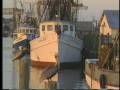 Welcome to Amelia Island - YouTube