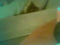 ボール猫動画