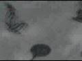 odk skatefootage 7-8/07/2007