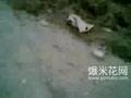 When the 8M earthquake happend in China