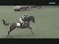 zara phillips on 'ardfield magic star' at the badminton horse trials 2008