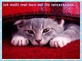 vogel-der-nacht.html