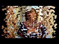 Sofiya Fedyna - My song