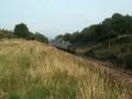 7903 Foremarke Hall at Dixton.