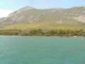 dim-dim - speed boat
