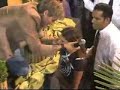 Igreja Assembl�ia dos Santos - Cris Duran