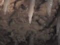 Caverns of Sonora