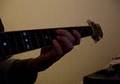 Dave Matthews Band - #41 (palikero)