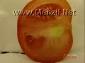 ibretlik g�r�nt�ler (kesin izleyin)