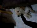 videos de P5110184.AVI