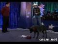 smartest dog on earth