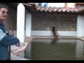 Belén Peregrino en Fuertescusa (Cuenca)