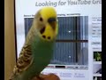 Spikey likes youtube Spikey likes youtube
