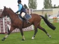 Springston Trophy - Pony Club 3 Day Event Springston Trophy - Pony Club 3 Day Event