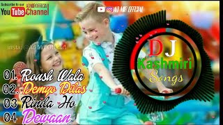 Kashmiri Remix mashup songs  Kashmiri Dj songs  Vo