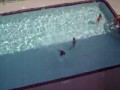 videos de Zach Cannon Ball