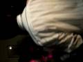videos de el pillin del bolo