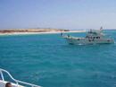 Egypt,Giftun Island,2007