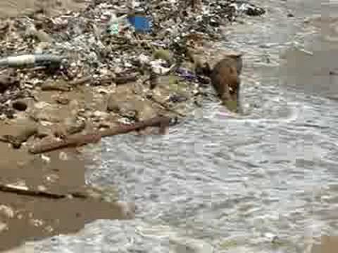 See video
