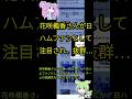 花咲楓香さんが日ハムファンとして注目され、抜群…