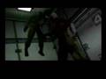 Grey Fox Tribute