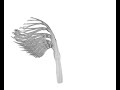 Darwin's Canopy: Art inspired by evolution