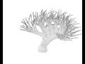 Darwin\ Darwin\