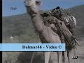 Xoolaha Degaan Somali Galbeed Xoolaha Degaan Somali Galbeed